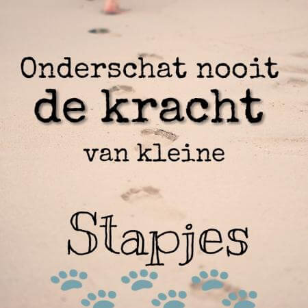 onderschat nooit de kracht van kleine stapjes